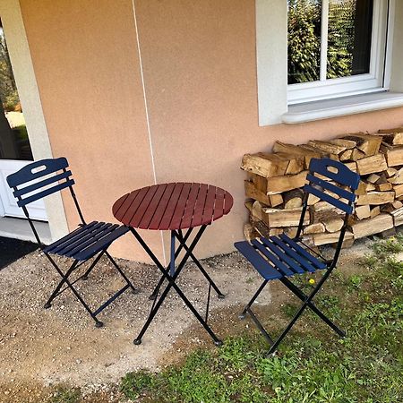 Apartamento Comme Dans Un Ecrin - T2 De 50 M² Avec Jardin, Terrasse Et Piscine Vernaison Exterior foto